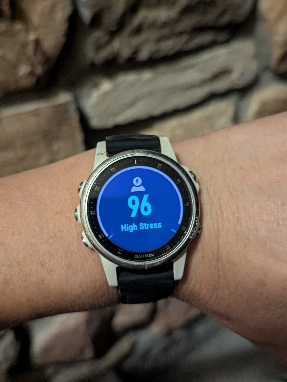 Garmin Fenix 5 S Plus W/4 Bands & Charger